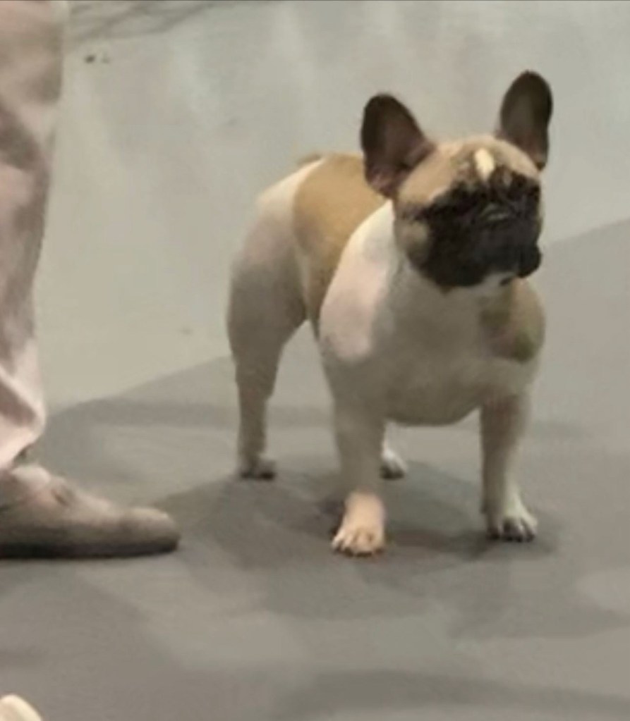 19d15820-45c0-4b64-8255-e3154e9094ab