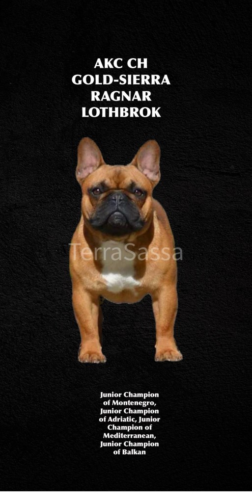 a469f436-d103-4b80-afe7-0c505a5e66e3