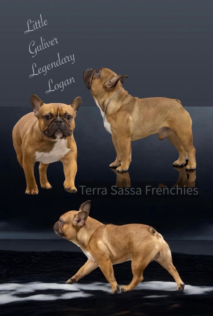 edf7a1ad-5424-4259-8d01-afc30ea6e9c4