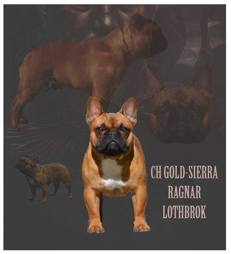 f3e3f64a-bc8a-40cb-be46-9429f7b1bae0